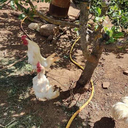 El Cercadillo Σπίτι διακοπών